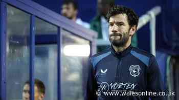'Significant work' under way for Cardiff City's January plan as priorities clear