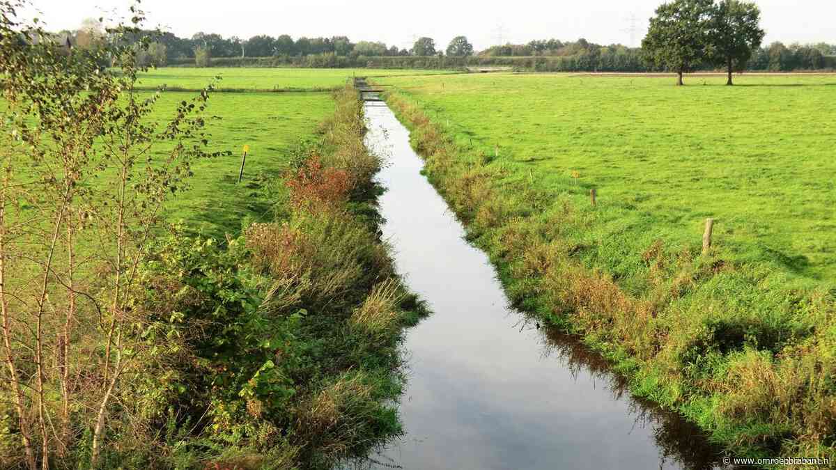 Boeren in oosten van Brabant mogen weer water uit sloten en beken halen