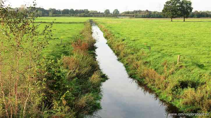 Boeren in oosten van Brabant mogen weer water uit sloten en beken halen