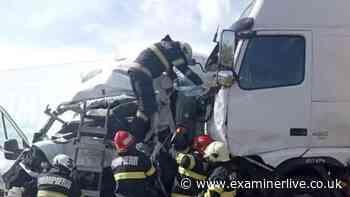 Horror as two British women and eight dogs killed in four-car crash in Romania