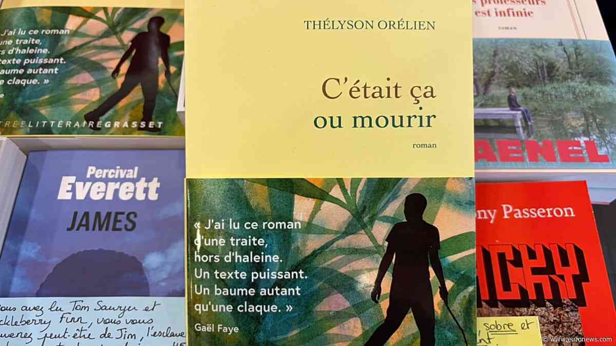 Author Of One Of France’s Biggest Hit Novels Of The Year Accused Of Using AI
