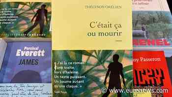 Author Of One Of France’s Biggest Hit Novels Of The Year Accused Of Using AI