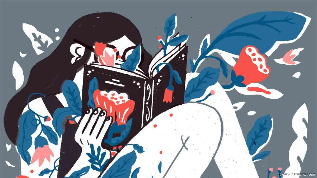 The Powers Of Bibliotherapy