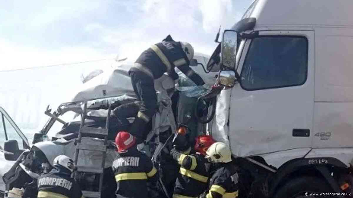 Tragedy in Romania as two British women and eight dogs killed in four-vehicle smash