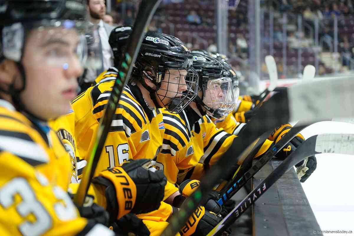 Sting drop 7–4 road decision to Petes