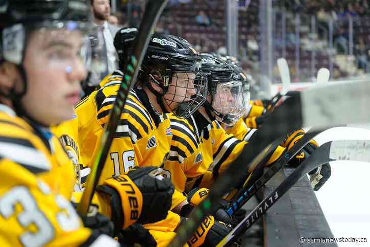 Sting drop 7–4 road decision to Petes
