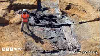 Rare Bronze Age finds unearthed in city dig