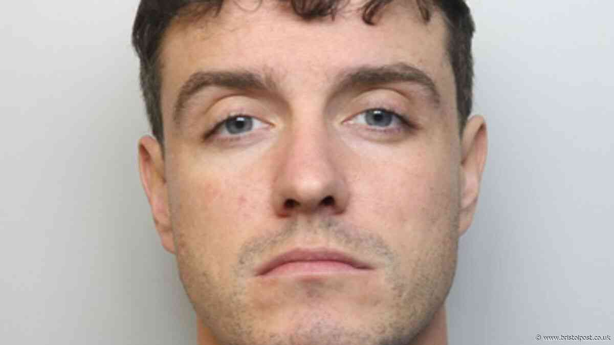 M5 van driver tried to transport cocaine into Cornwall