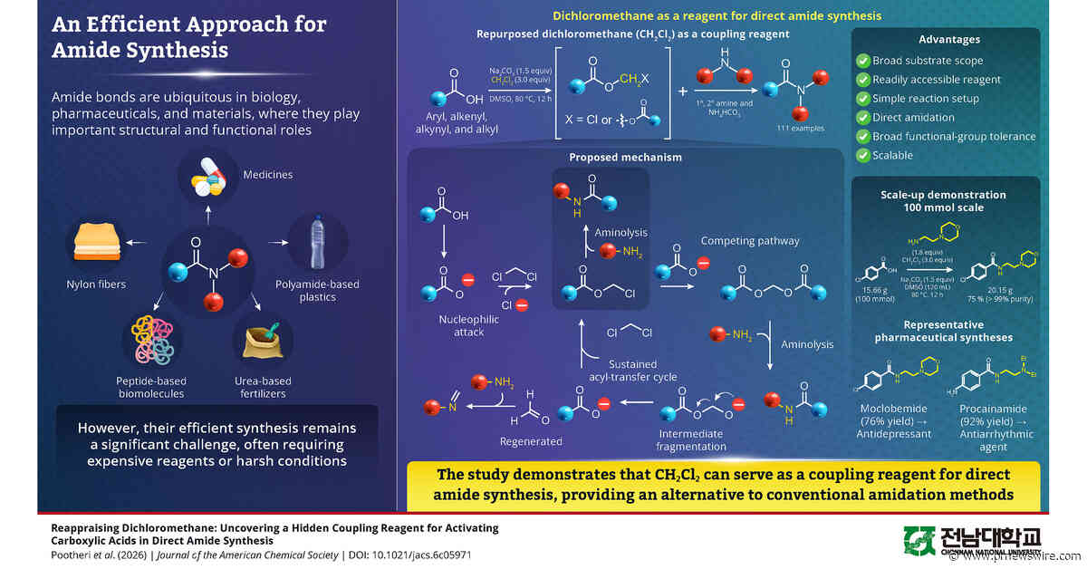 Chonnam University Researchers Discover How a Century-Old Solvent Can Solve Efficient Amide Synthesis