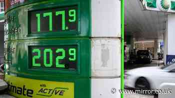 Millions of UK drivers warned pump prices could rocket to £2.50 a litre if Trump imposes diesel export ban