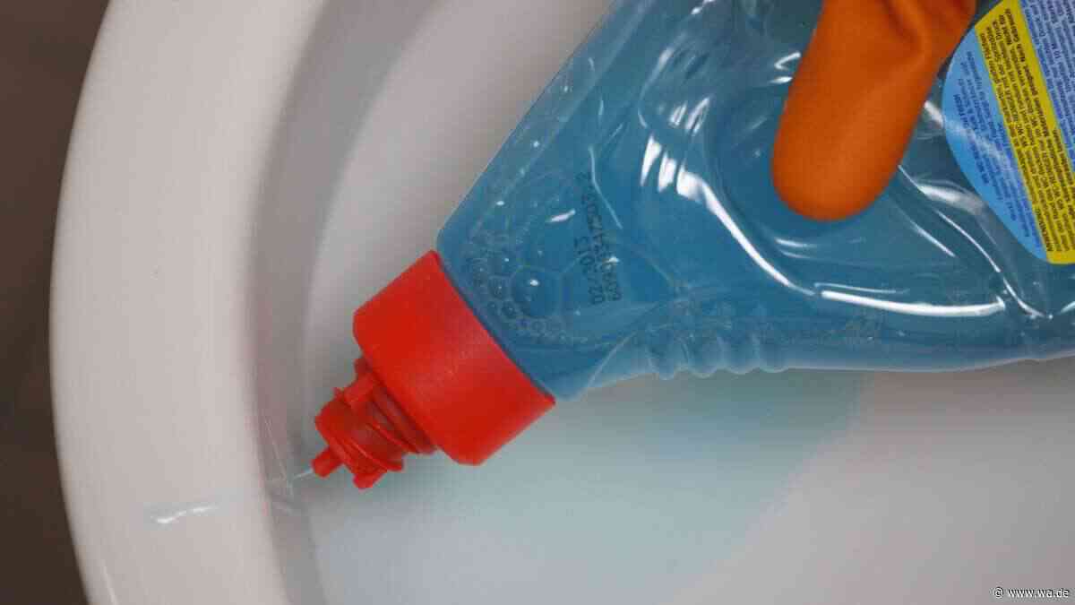 Experte erklärt – das ist die einzig richtige Art, eine Toilette zu reinigen