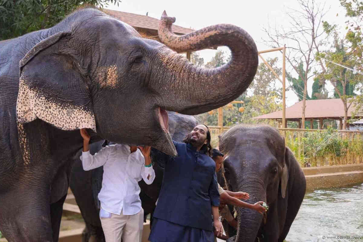 Indian Oil Heir Who Runs Controversial Mega-Zoo Made Sustainability Professor at Newcastle University