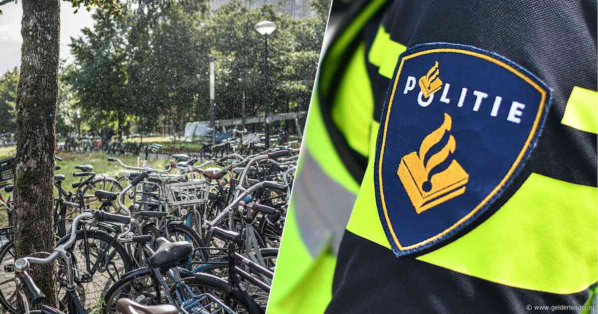 Vader wuift opvallende actie van zijn 13-jarige zoon weg: ‘Hij wilde die fiets alleen maar lenen’