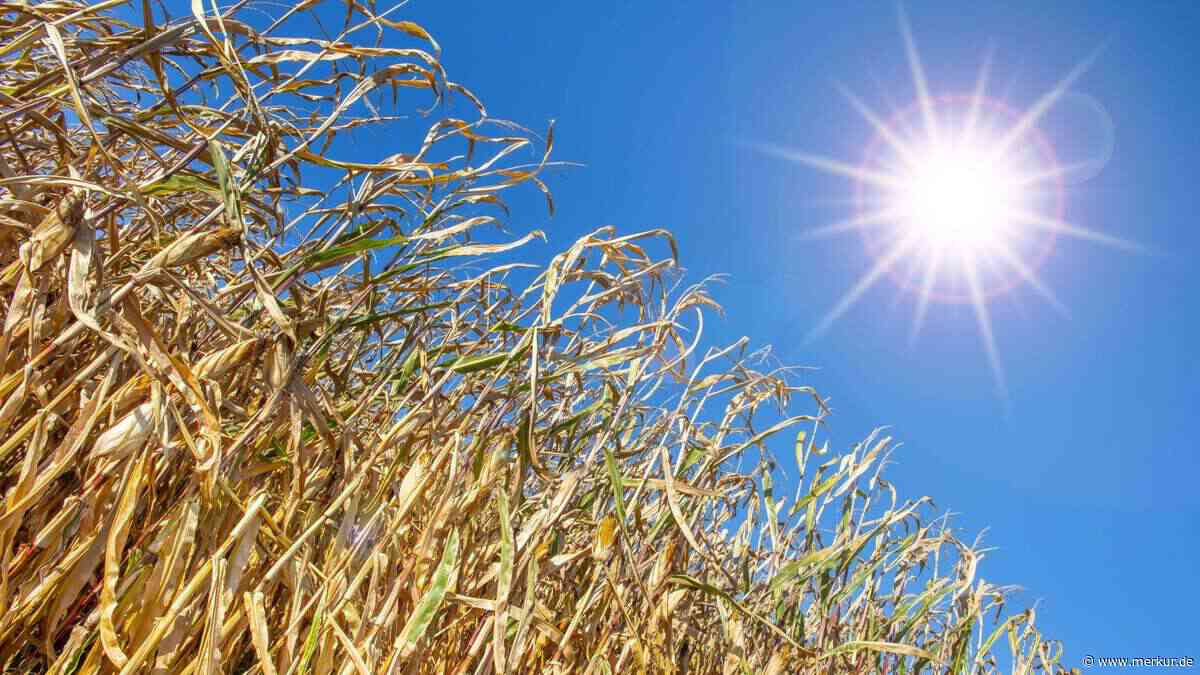 Klimawandel kostet Europa 113 Milliarden Euro – Deutschland trifft es besonders hart