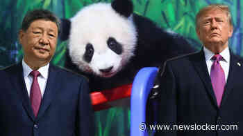 Speciaal vliegtuig, politie-escorte en een saluut met waterkanonnen: Xi hoopt met twee panda’s voor Trump goede sier te maken