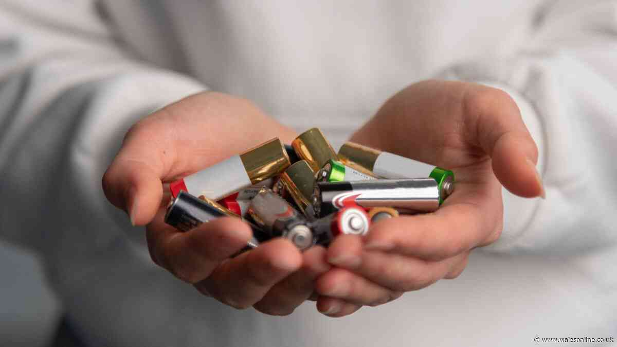 Every UK household should check their 'emergency' batteries or risk 'chemical leakage'