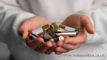 Every UK household should check their 'emergency' batteries or risk 'chemical leakage'