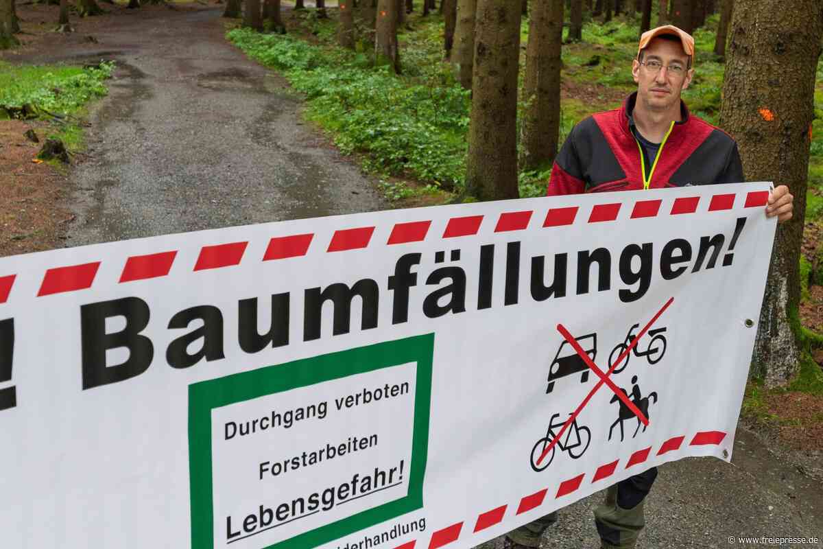 Beliebter Wanderweg an Stauweiher im Erzgebirge wird zeitweise gesperrt