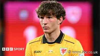 'Workhorse' Koumas growing with Wales