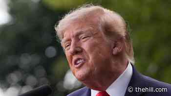 Trump to campaign in deep red Oklahoma, Alabama