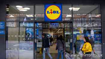 New £8 Lidl '5-in-1' car gadget out Sunday helps drivers avoid £2,500 fine and points