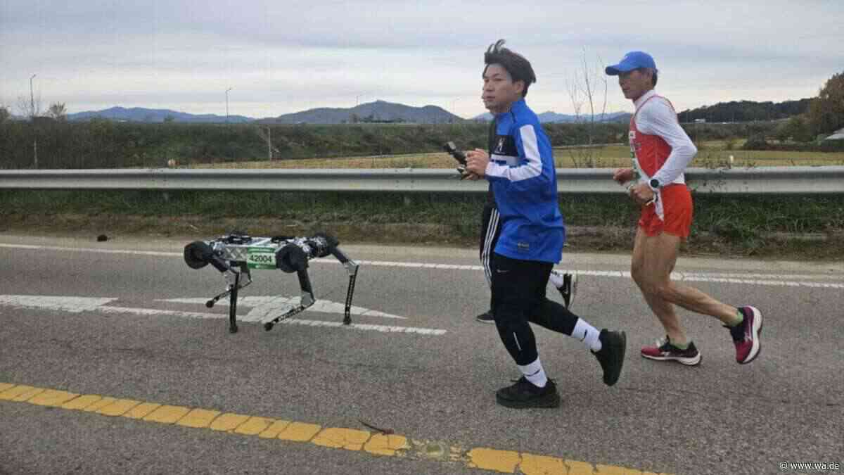 Vierbeiniger Roboter läuft einen ganzen Marathon mit nur einer Akkuladung