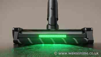 'Flawlessly clean' entire home with vacuum now £134 reduced from £269