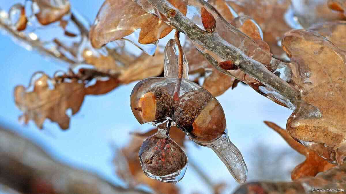 „So steigt der Sommer früh in’s Grab …“ Darauf müssen Sie beim nächsten Spaziergang achten
