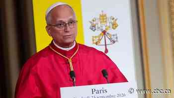 AI's 'paradise of machines' a threat to humanity, Pope Leo says