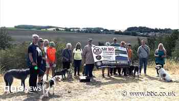 Thousands respond to huge solar farm consultation