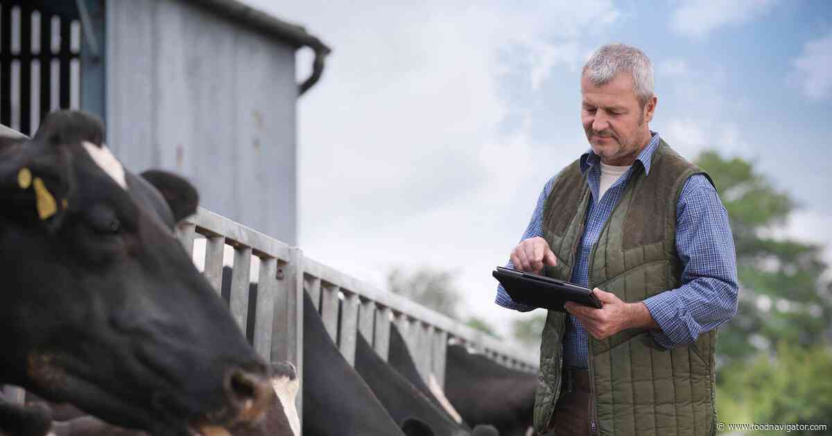 Nestlé teams with dairy supply chain partners to map path to scaling regen ag