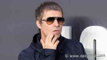 Liam Gallagher tells Oasis fans to 'stop moaning' over cost of £200 tickets as critics declare 'no gig is worth that' - after vowing to scrap dynamic pricing
