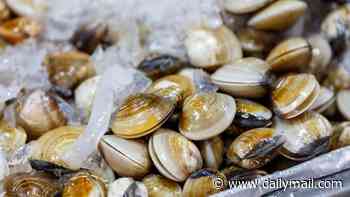 Outbreak of life-threatening liver disease sparked in connection to  shellfish