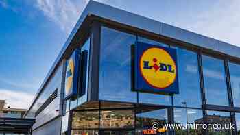 Lidl's new £13 homeware item in stores Sunday similar to £46 Argos style