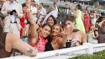 More spectators help Newcastle Racecourse owner to boost turnover to £25m