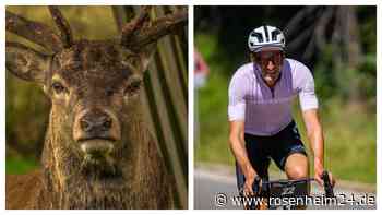 Nach tragischem Unfall auf dem Roßfeld: Ex-Radprofi Marcus Burghardt ordnet Wildgefahr für Radfahrer ein