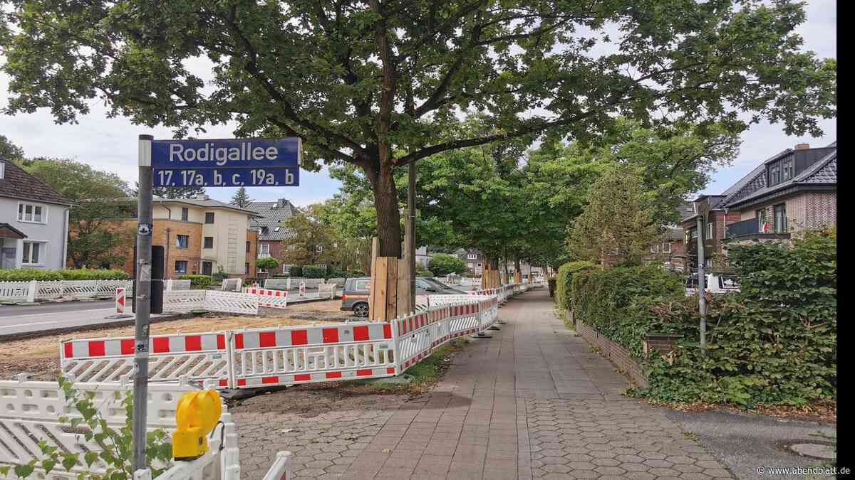 Rodigallee-Gegner haben eine klare Forderung an Hamburger Finanzsenator