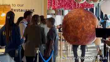 Bristol Ikea's all-you-can-eat Meatball Rave was just as mad as you thought
