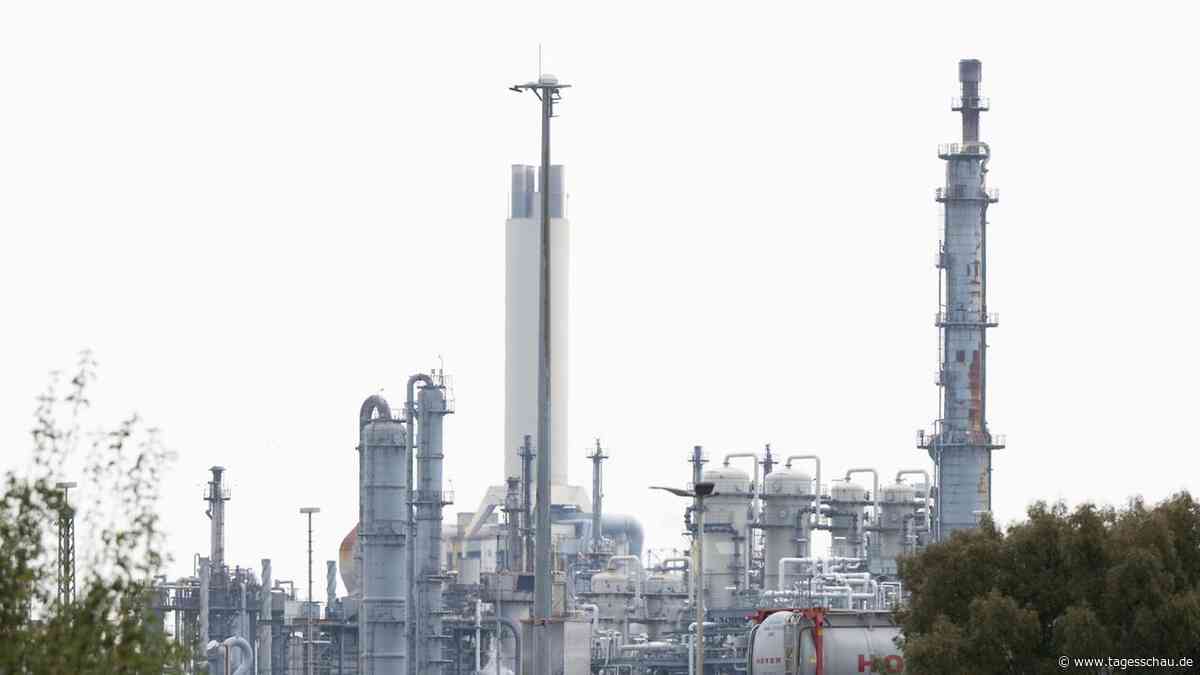 BASF wirft ein Auge auf Konkurrent Evonik