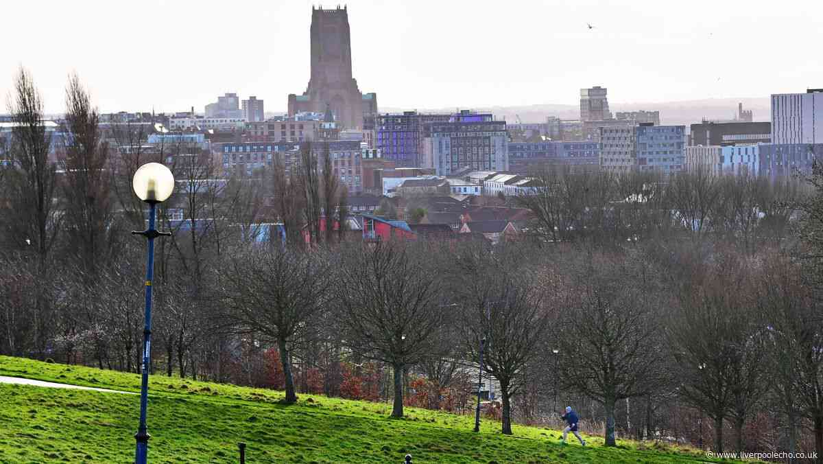 Yobs launch fireworks at buildings in Everton as police given extra powers