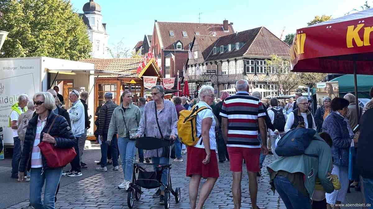 Landmarkt in Bergedorf: Das ist am verkaufsoffenen Sonntag geplant