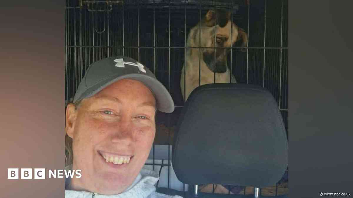Two women on dog rescue die in crash in Romania