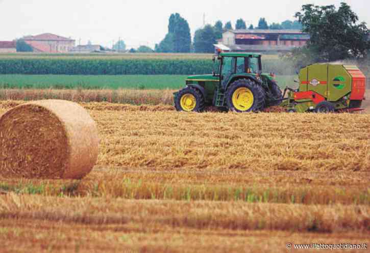L’impennata del prezzo del gasolio mette in ginocchio l’agricoltura. Proteste nel Lazio. Trump vuole bloccare l’export di diesel americano