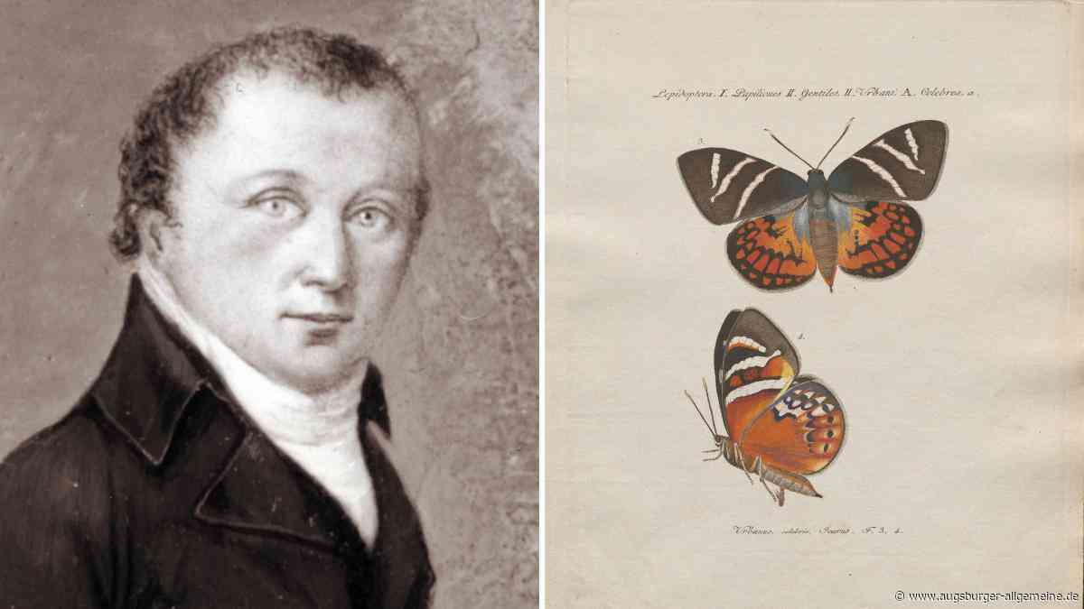 Der „berühmteste Naturforscher Augsburgs“: Jacob Hübner zeichnete über 3500 Schmetterlinge