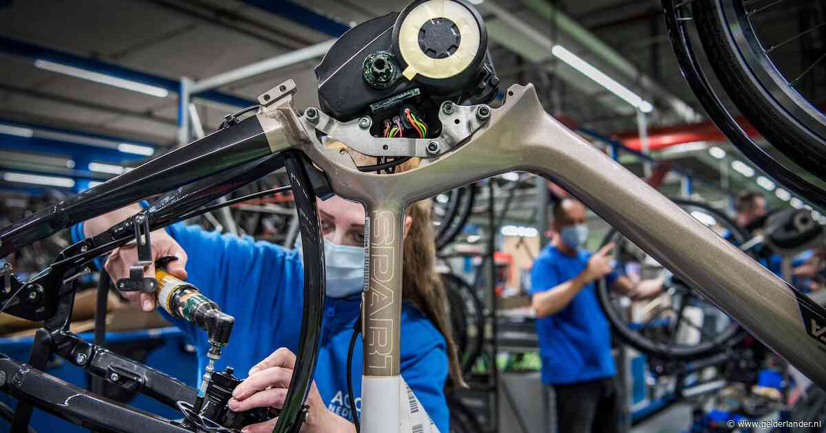 Failliet, maar de fietsen van Batavus en Sparta vliegen nog steeds de deur uit