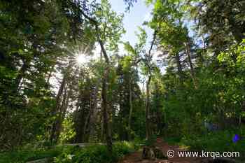 Cibola National Forest looks to hire temporary workers for winter