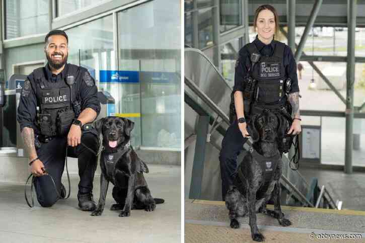 Top dogs: 2 Metro Vancouver Transit Police dogs named best in Canada