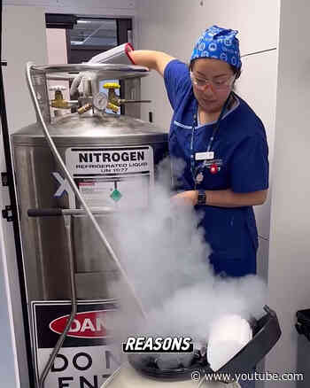 IVF Explained: A Rare Look Inside the Lab