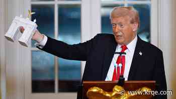 ‘Gonzo bonkers’: Trump's plan to militarize triumphal arch sparks pushback