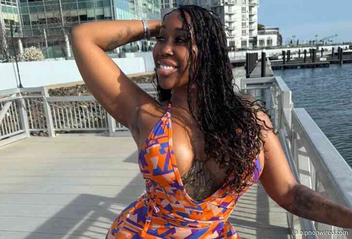 OnlyFans Star Zmeena Orr Pleads Guilty To Tax Evasion